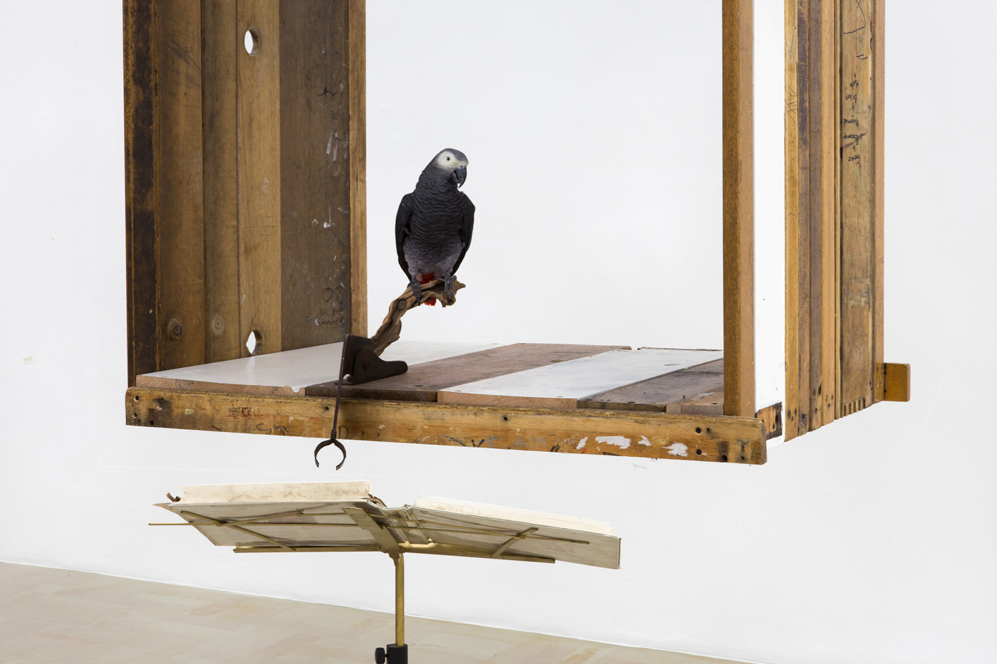 Kemang Wa Lehulere. One is too many, a thousand will never be enough. 2016. Salvaged school desks, music stand, found object, taxidermied African grey parrot, sound installation. Courtesy Stevenson, Cape Town/Johannesburg.
