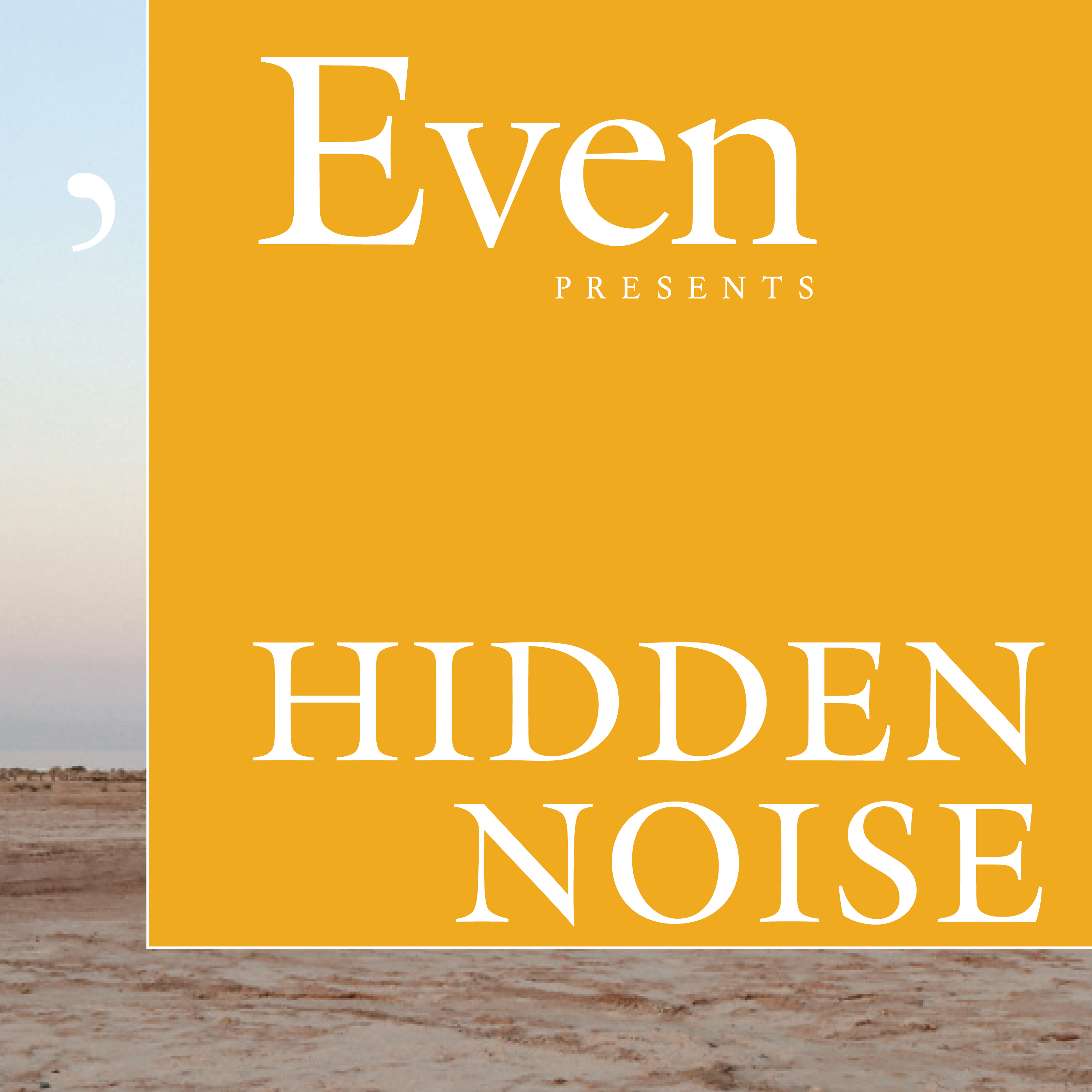 Hidden Noise